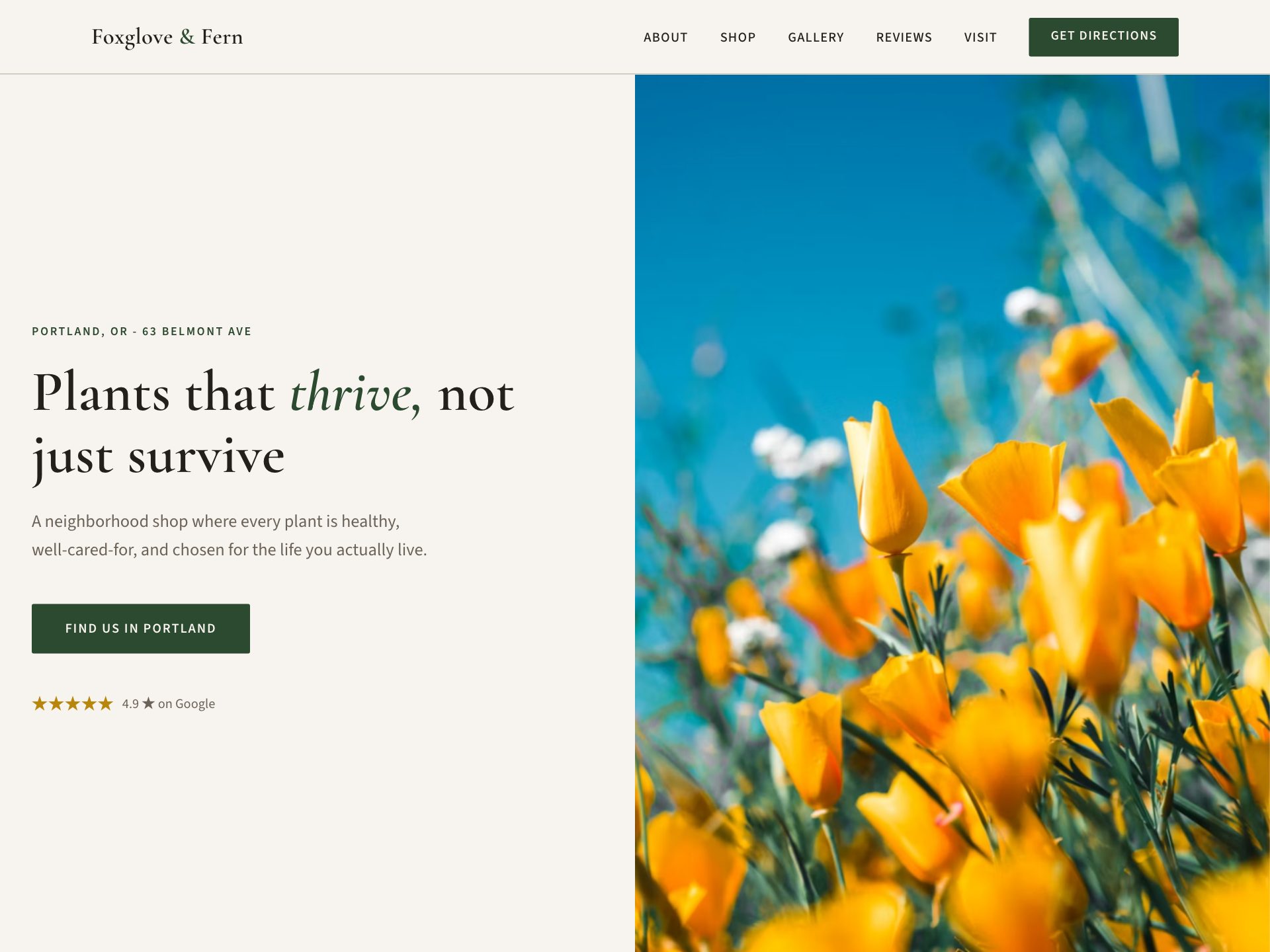 Foxglove & Fern — a website Styka generated for a plant shop business